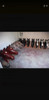 Cabezas De Caballo De Fibra De Vidrio 0 Cabezas De Caballo De Fibra De Vidrio 0