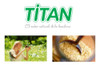Levadura Nutricional En Copos Sin Tacc Titan X2 Potes 2