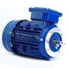Motor Trifasico 1/8 Hp 1400 Rpm Cuerpo 56 Normalizado 5