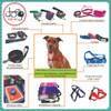 Correa 2m Bicolor Ancho 2.5 Cm Perro Paseo 4