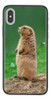 Samsung Galaxy A 02  Funda (san José) 0