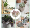Patikil Mini Plantas Suculentas Artificiales, Plantas Falsas 4