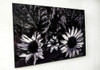 Placa De Mdf Para Sublimar 55x75 Cm Fotográfica Glossy 12 Mm 6
