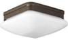 Progress Lighting P3549-20 Appeal Close-to-ceiling, 9 , Bron 0