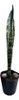 Espada San Jorge 40cm 1