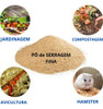 Pó Serragem Fina 1 Kg Para Horta Compostagem Avicultura 1