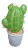Suculenta Cactus Artificial Suculentas En Maceta Planta Deco 0
