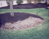 Lesche Digging Tool Y Sod Cutter Y Vaina Libre Dentada En El 4