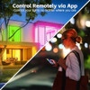 Easeking Tira De Luces Led Wifi, Sincronización De 1