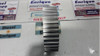 Engranaje Bomba Inyectora Renault Kangoo Espres Clip Diésel. 3