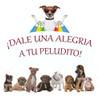 Bozal Suela Cuero Hebilla Natural Perro Regulable Talle 2 1
