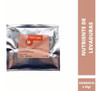 Nutriente De Levadura Springferm Br2 X25gr 0