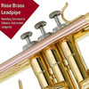 Instrumentos Musicalesbanda Y Orquestalatóntrompetasestá 3