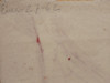 Mane Bernardo - Tinta Original - Firmada -  1962 2