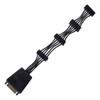 Tecnología Silverstone Cp06-e4 Cable Adaptador De Corriente 0