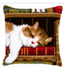Tapiz Almohadon -kit Completo - P/bordar + Lanas + Aguja 2