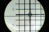 Colimador Bushnell 2