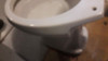 Water Olmos 2