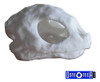 Cráneo De Tortuga Impreso En 3d 2