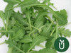 Rúcula - Semillas Huerta Y Aromáticas - Envíos 2