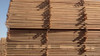 Tablas Saligna Para Encofrado 1x6 Maderafed 1