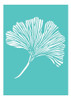 Stencil Laura Craft Set Ginkgo Biloba 1