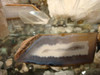 Geoda Pseudoágata Calcedonia 2 Geoda Pseudoágata Calcedonia 2