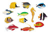 Recursos De Aprendizagem De Brinquedos E Balcões De Peixes, 2