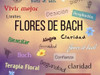 Flores De Bach. Rescate 1