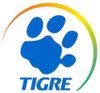 Kit 12 Rolos Fita Crepe 24mm X 50m Uso Geral Tigre 2