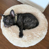 Cama Nido Puff Mascota Piel Ultrasoft +envio Ekisetum Deco 6