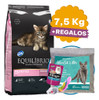 Comida Equilibrio Gato Cachorro Kitten 7,5 Kg + Envío 0