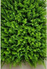 Placa De Grama Verde 40x60 Jardim Vertical Artificial Planta 1