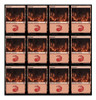 Mazo Burn - Cartas Magic The Gathering 5