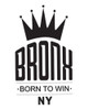 Escudo Potencia Gobernadora Bronx Boxing Circular Kick Thai 2 Escudo Potencia Gobernadora Bronx Boxing Circular Kick Thai 2