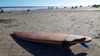 Tabla De Surf 6