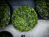 2 Buchinhos Artificial Grande 35cm Verde Bola Grama Topiaria 5
