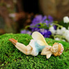 Top Collection Miniature Garden Y Terrarium Sleeping Flower 3