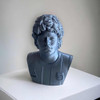 Figura Busto Diego Armando Maradona 1