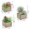 Mingfuxin Plantas Suculentas Artificiales, Mini Plantas Con 2