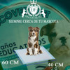 Paños Sanitarios Entrenamiento Adiestramiento Perro 120 Unid 4