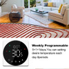 Tela Controladora De Temperatura Smart Weekly Boiler 3