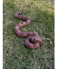 Hohajiu Juguete De Serpiente Falsa De Goma 6