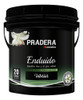 Enduido Interior Pradera Anclaflex X20lts / 36kgs 0