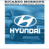 Clip Retenedor Para Hyundai Varios Modelos X 10 Unidades 1