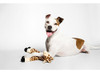 Fluff & Tuff Nelly The Giraffe 2