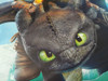 Poster De Cómo Entrenar A Tu Dragón 2 5