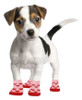 Set X2 Medias Con Antideslizantes Para Mascotas Talle M 3 Set X2 Medias Con Antideslizantes Para Mascotas Talle M 3