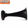 Driver Som  Profissional Champion 100w Rms  + Corneta Longa 1
