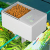 Alimentador Automático De Peixes Para Lago, Alimentador 4
